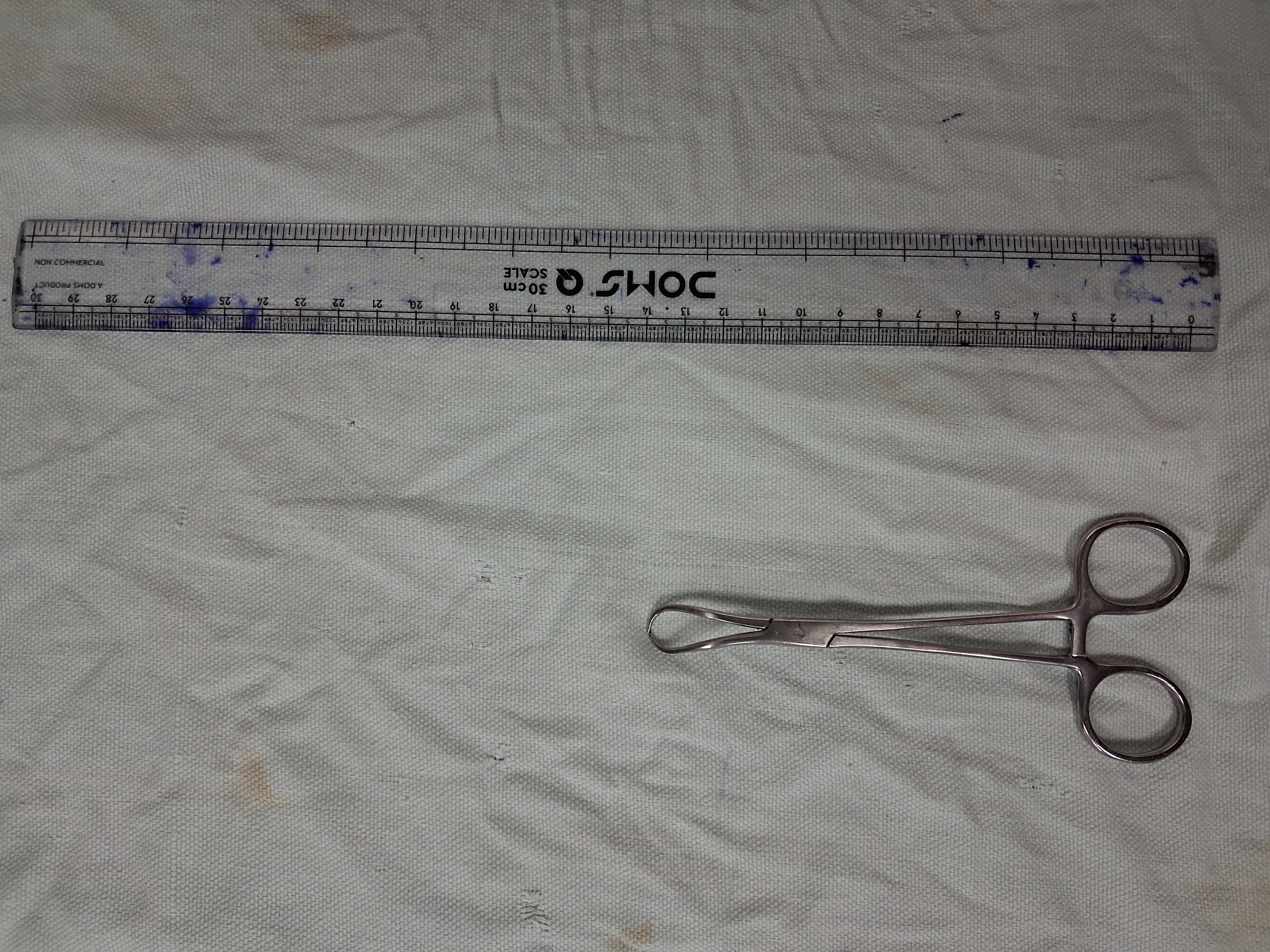 Towel Clip